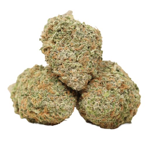 Blue Lemon strain cannabis