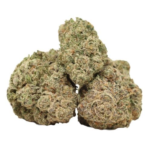 Bruce Banner strain cannabis