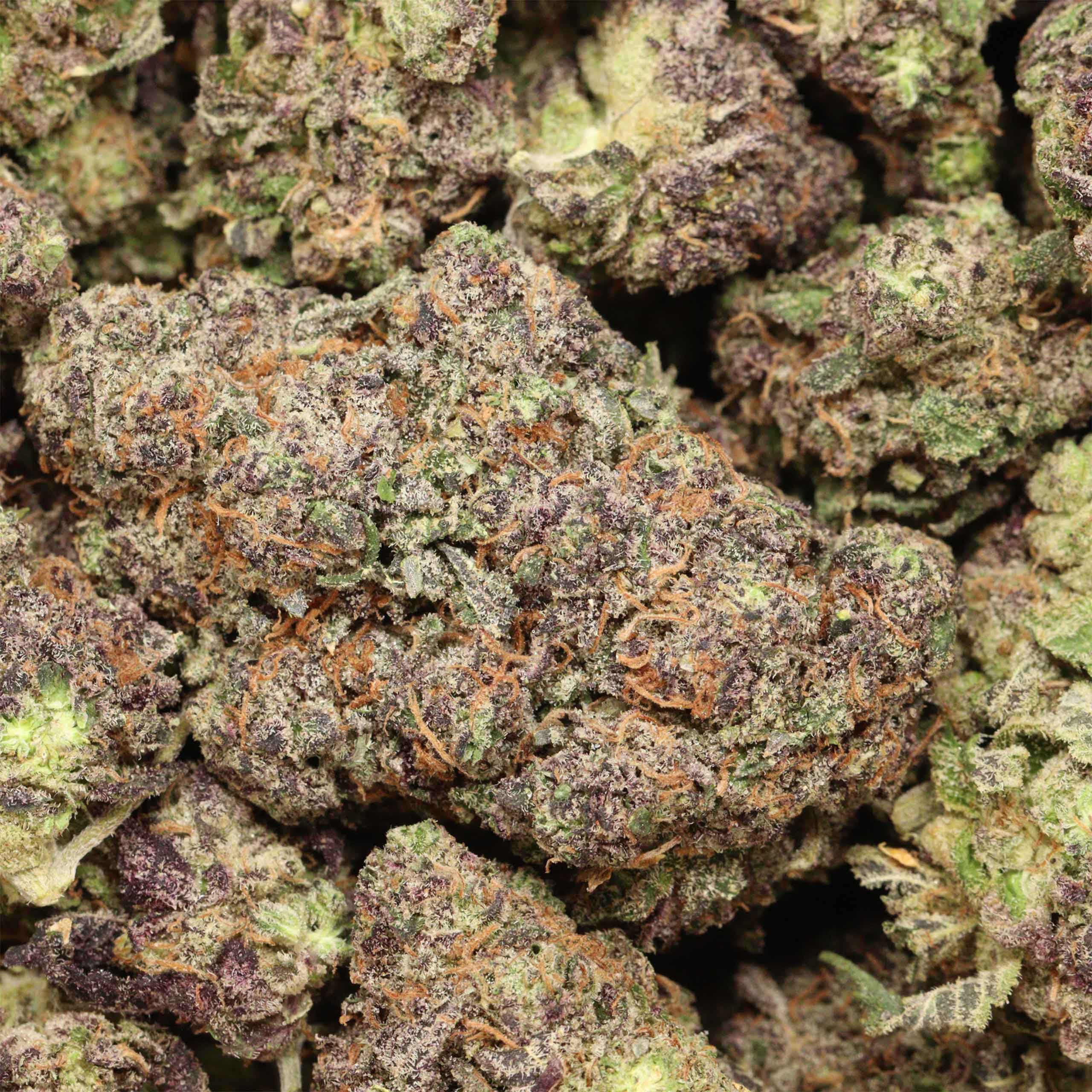 Butterscotch cannabis