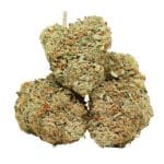 Cali Bubba Kush strain cannabis