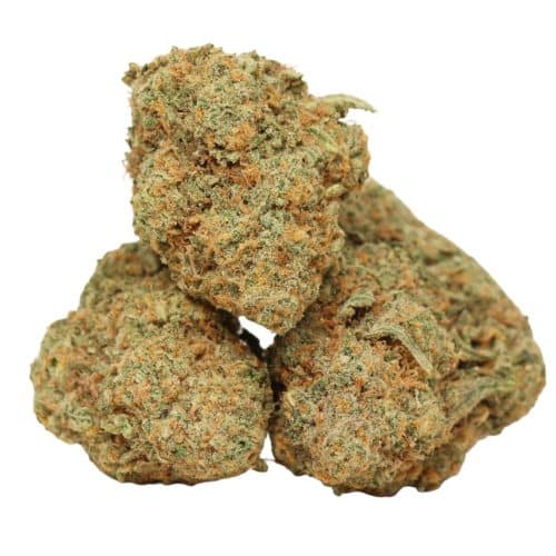 Candyland strain cannabis