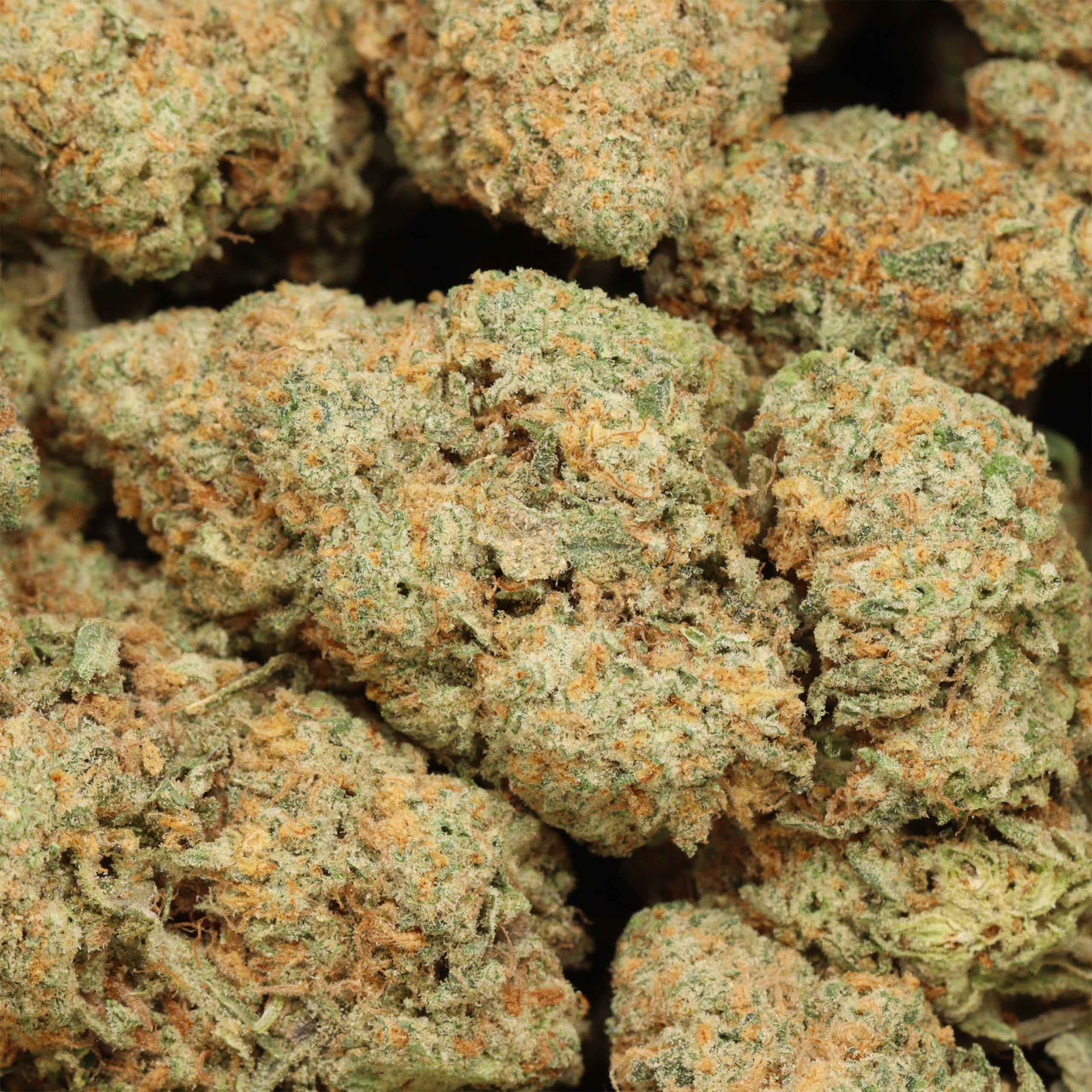 Candyland cannabis wholesale