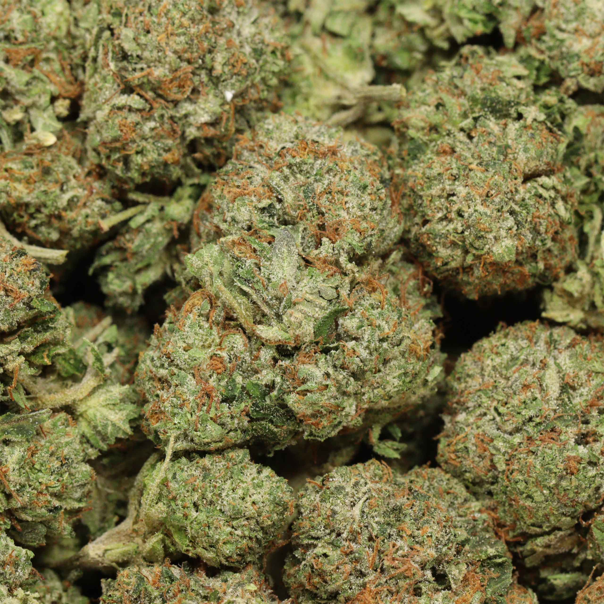 Caviar Pink Kush - Image 3