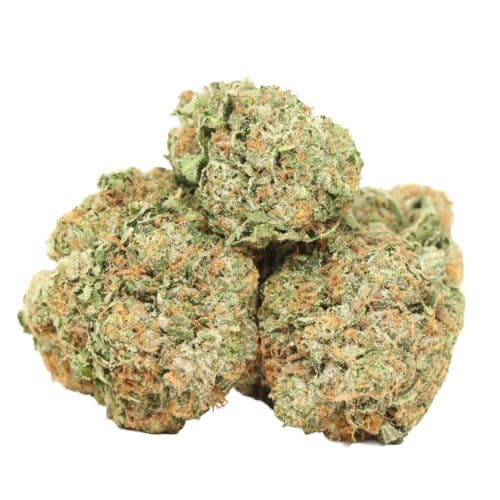 Caviar Pink Kush strain cannabis