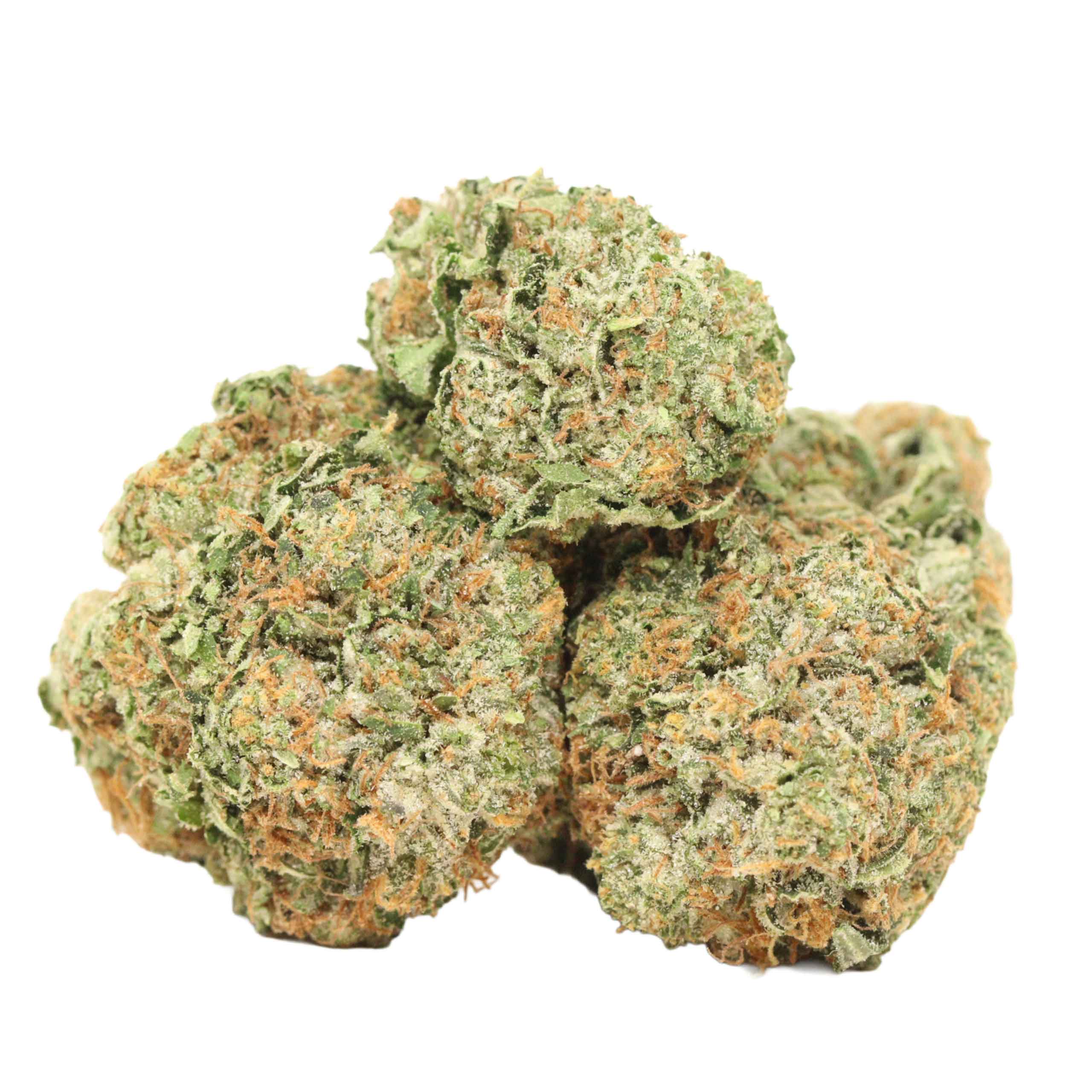 Caviar Pink Kush strain cannabis