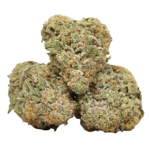 Diablo OG Kush strain cannabis