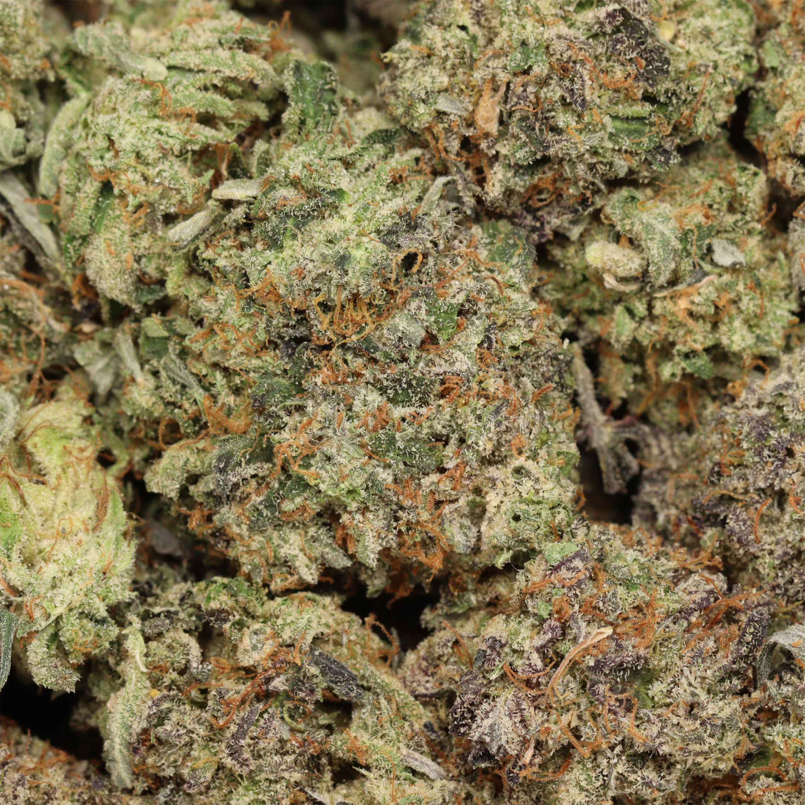 Dior Death Bubba cannabis