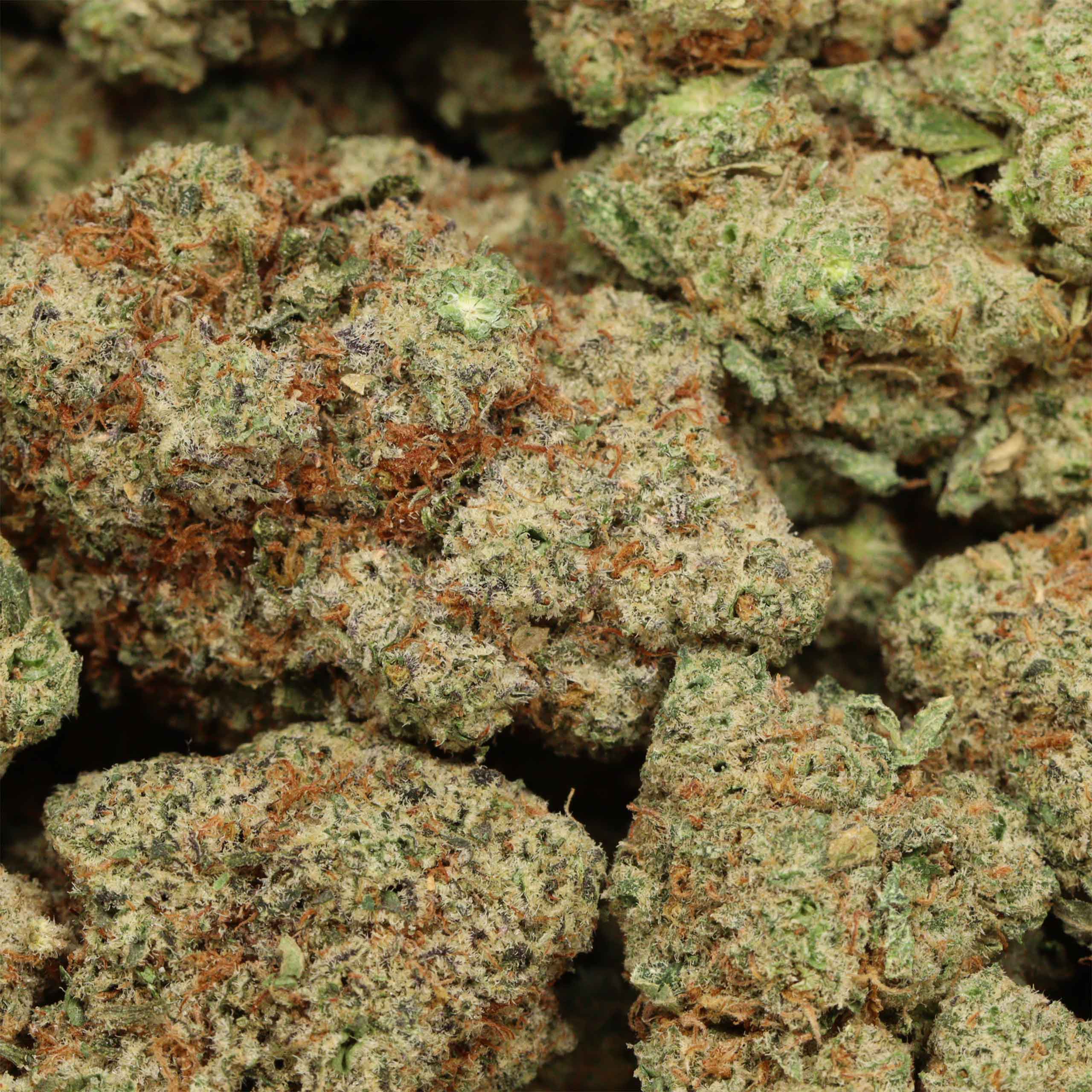 Dream Wedding cannabis wholesale