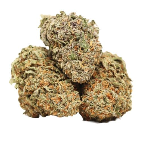 Forbidden Runtz strain cannabis