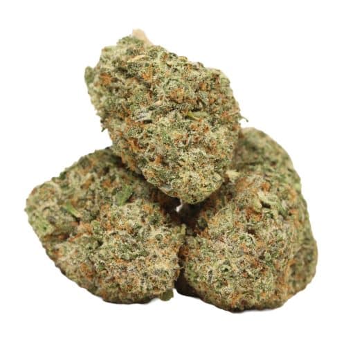 Girl Scout Cookies strain cannabis