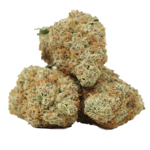 God's Green Crack strain cannabis