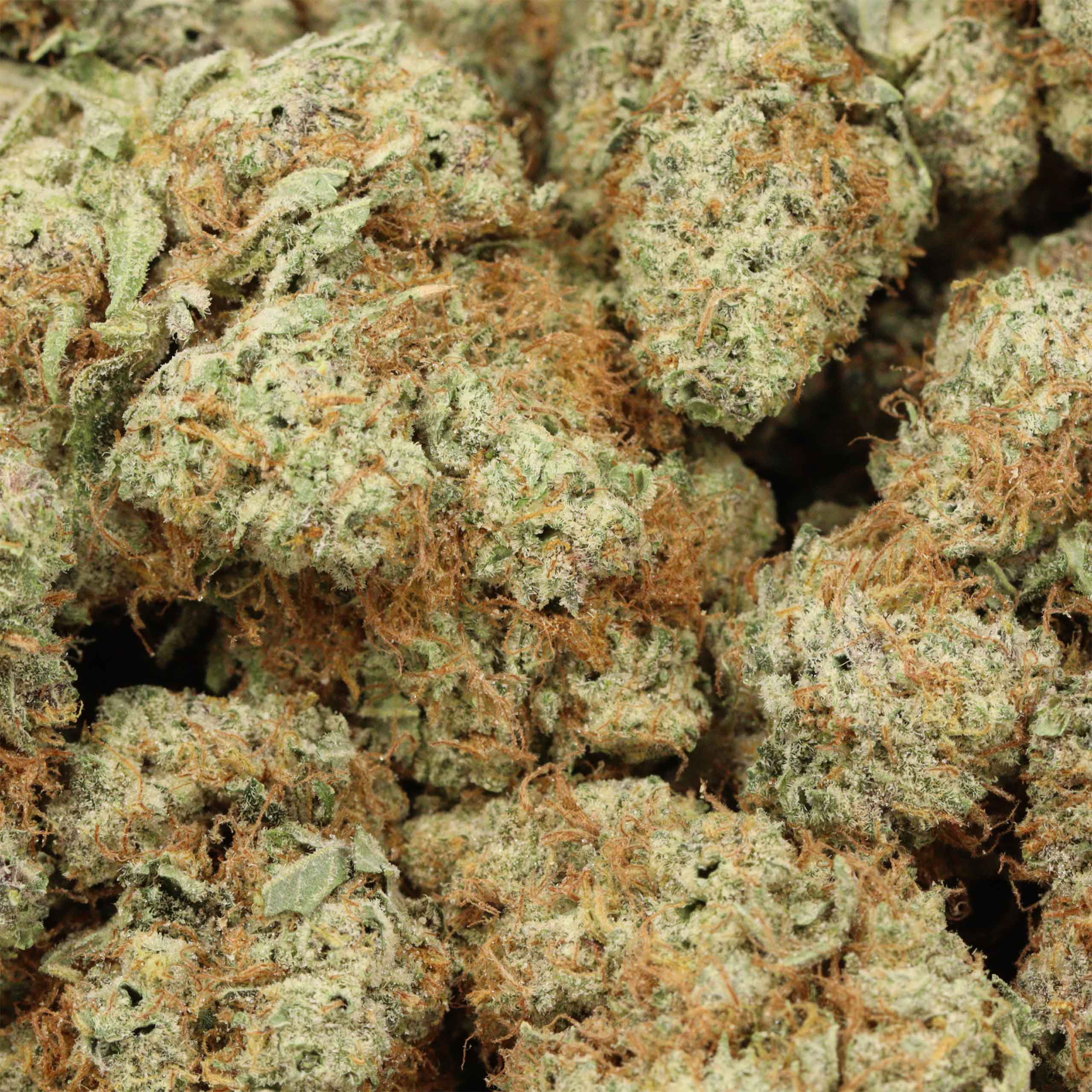 God's Green Crack cannabis wholesale