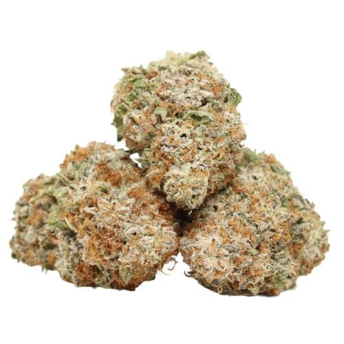 Gorilla Frost strain cannabis