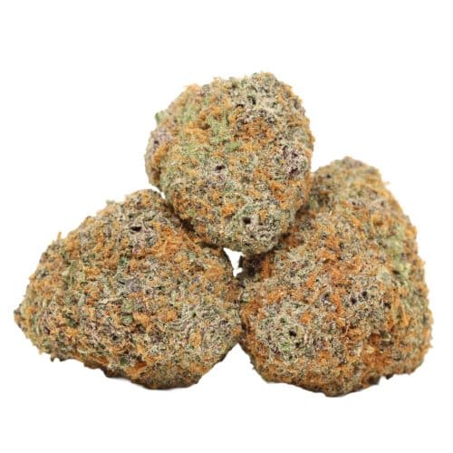 Grand Daddy Purple strain cannabis