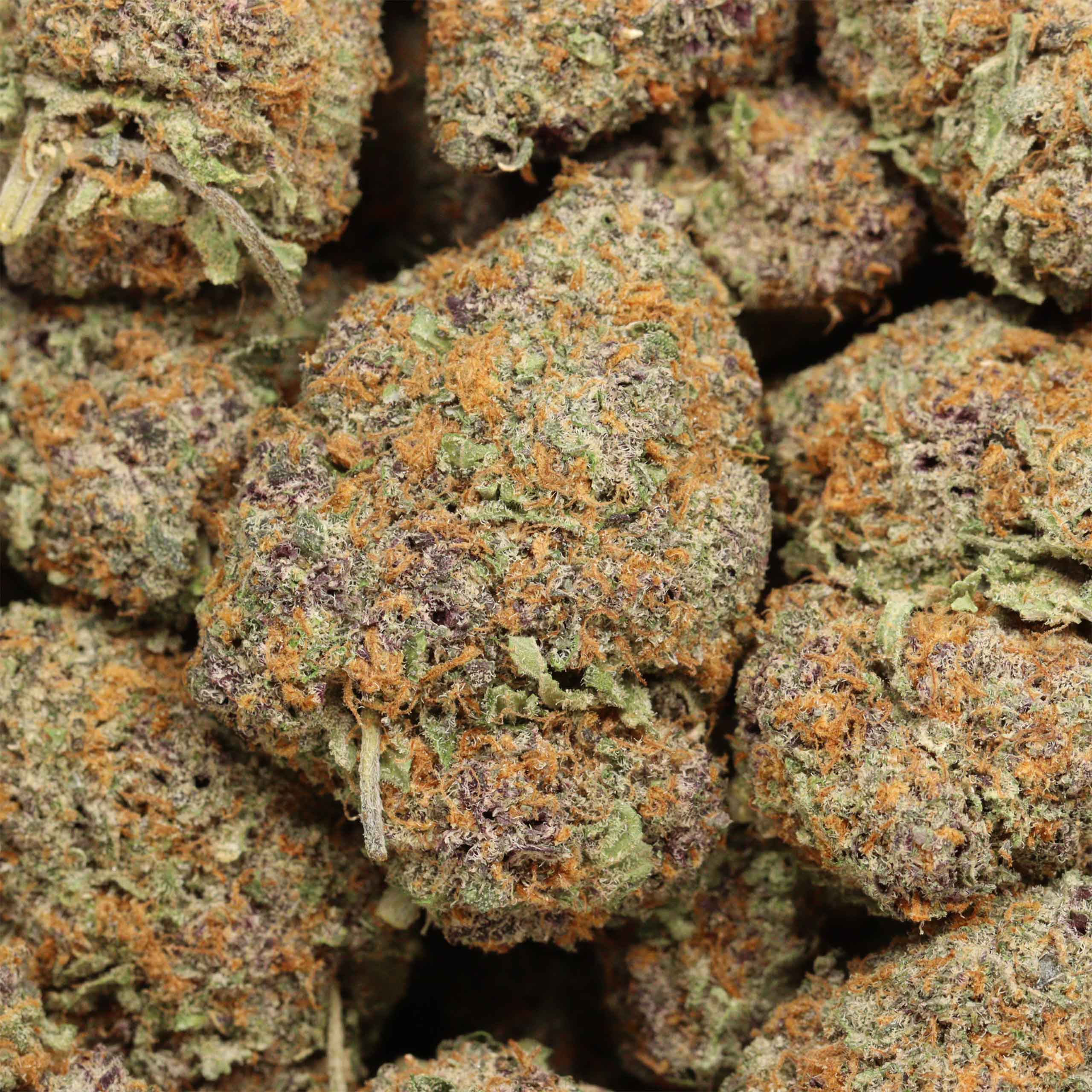 Grand Daddy Purple cannabis