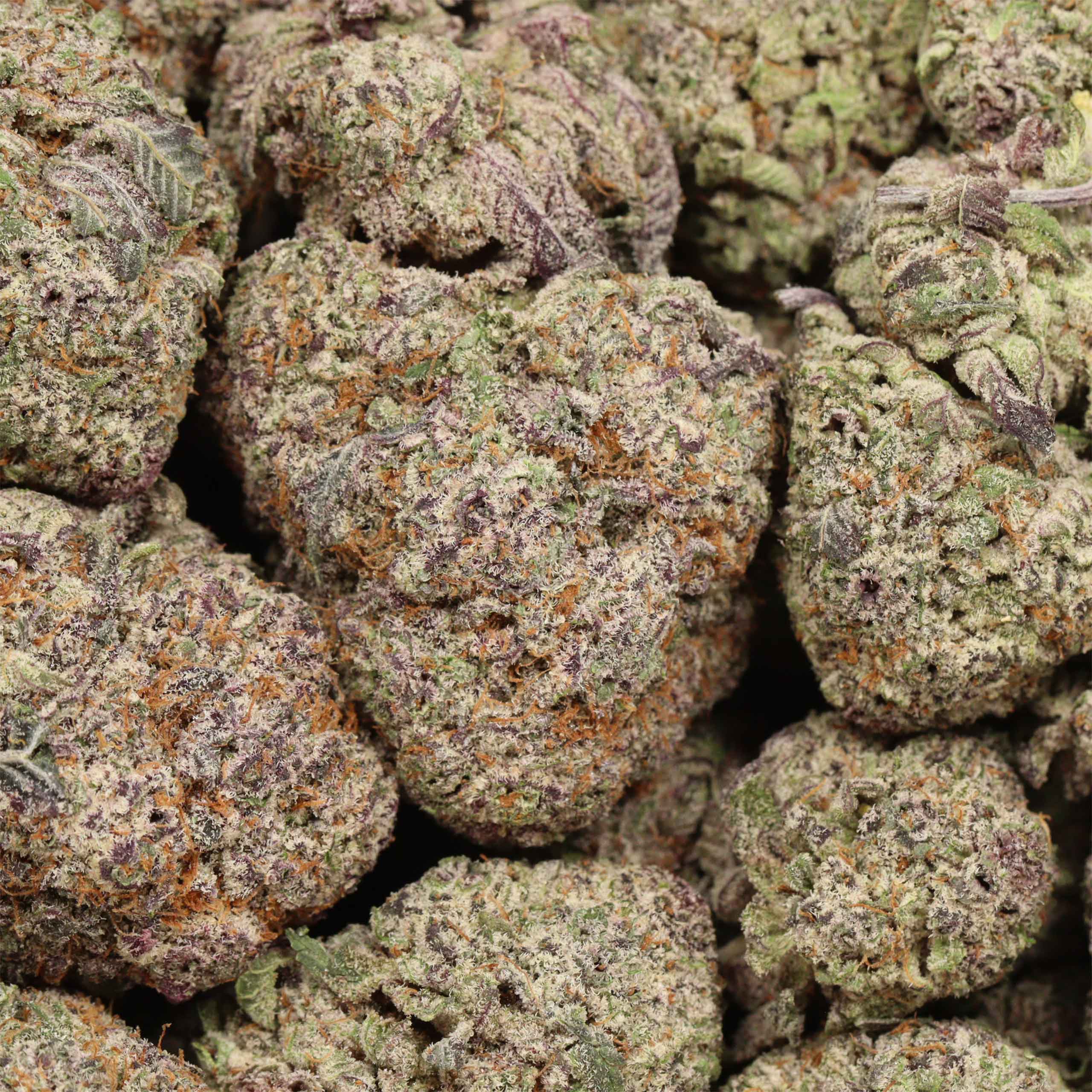 Grape Cake craft cannabis