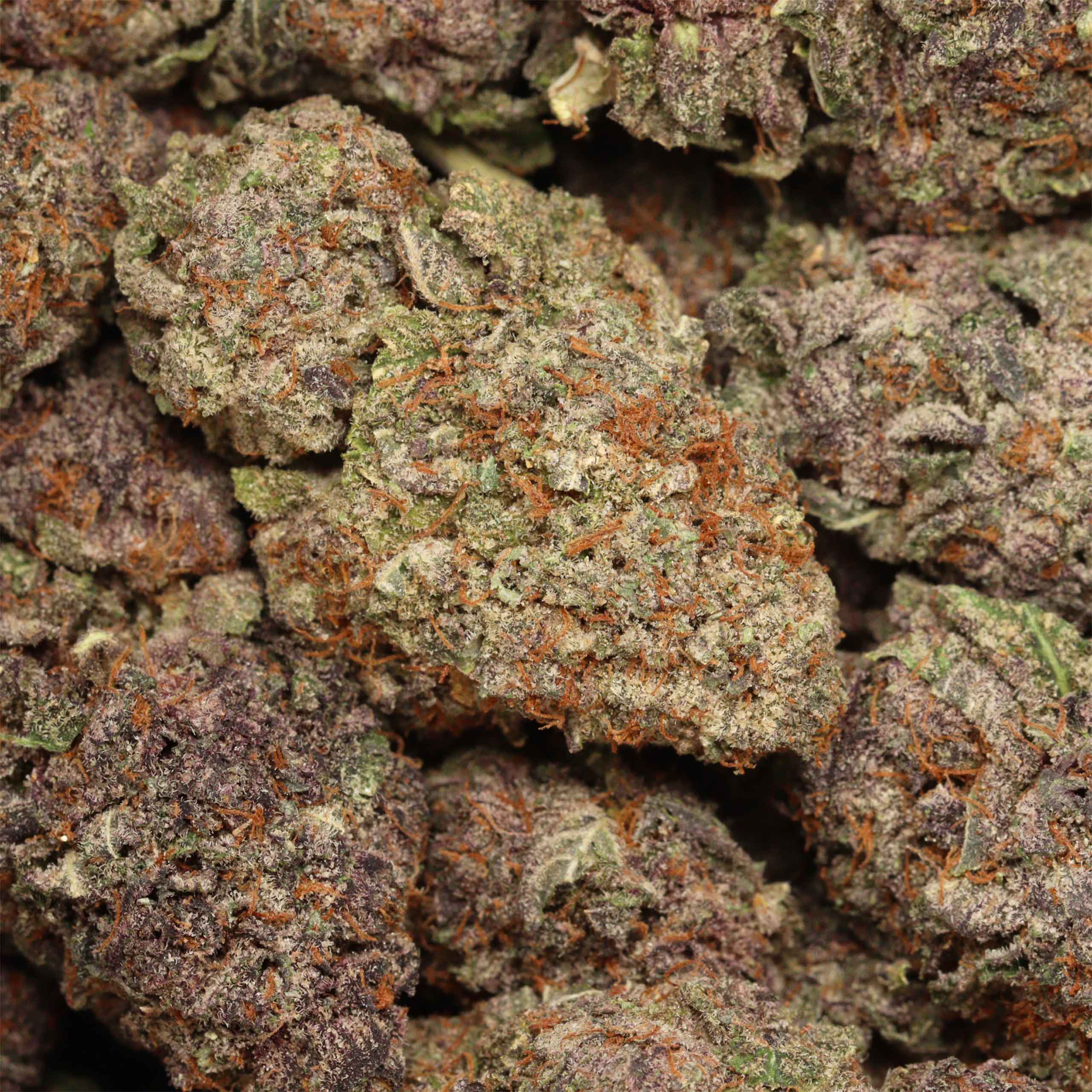 Grape Soda cannabis wholesale