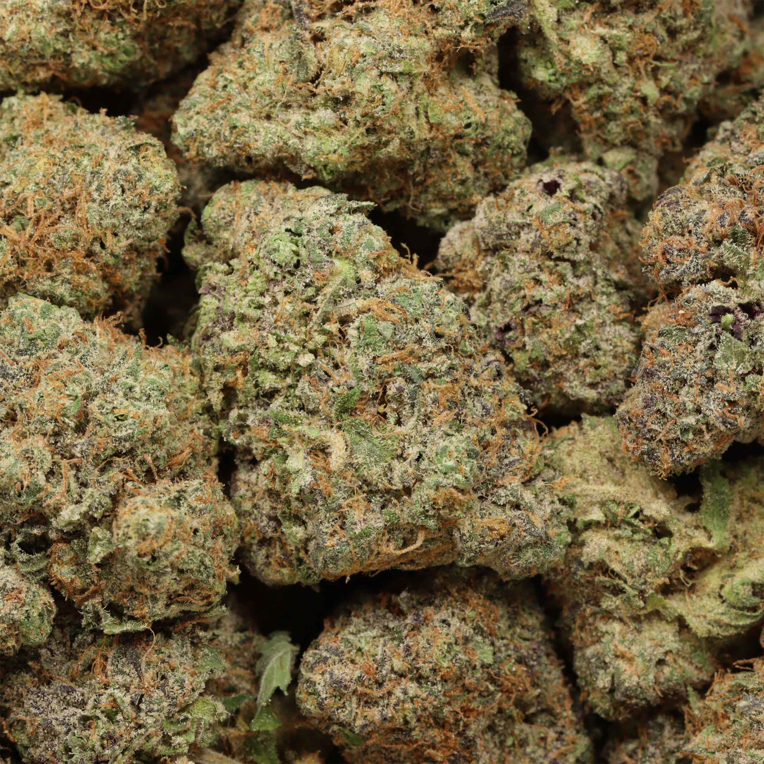 High Society craft cannabis