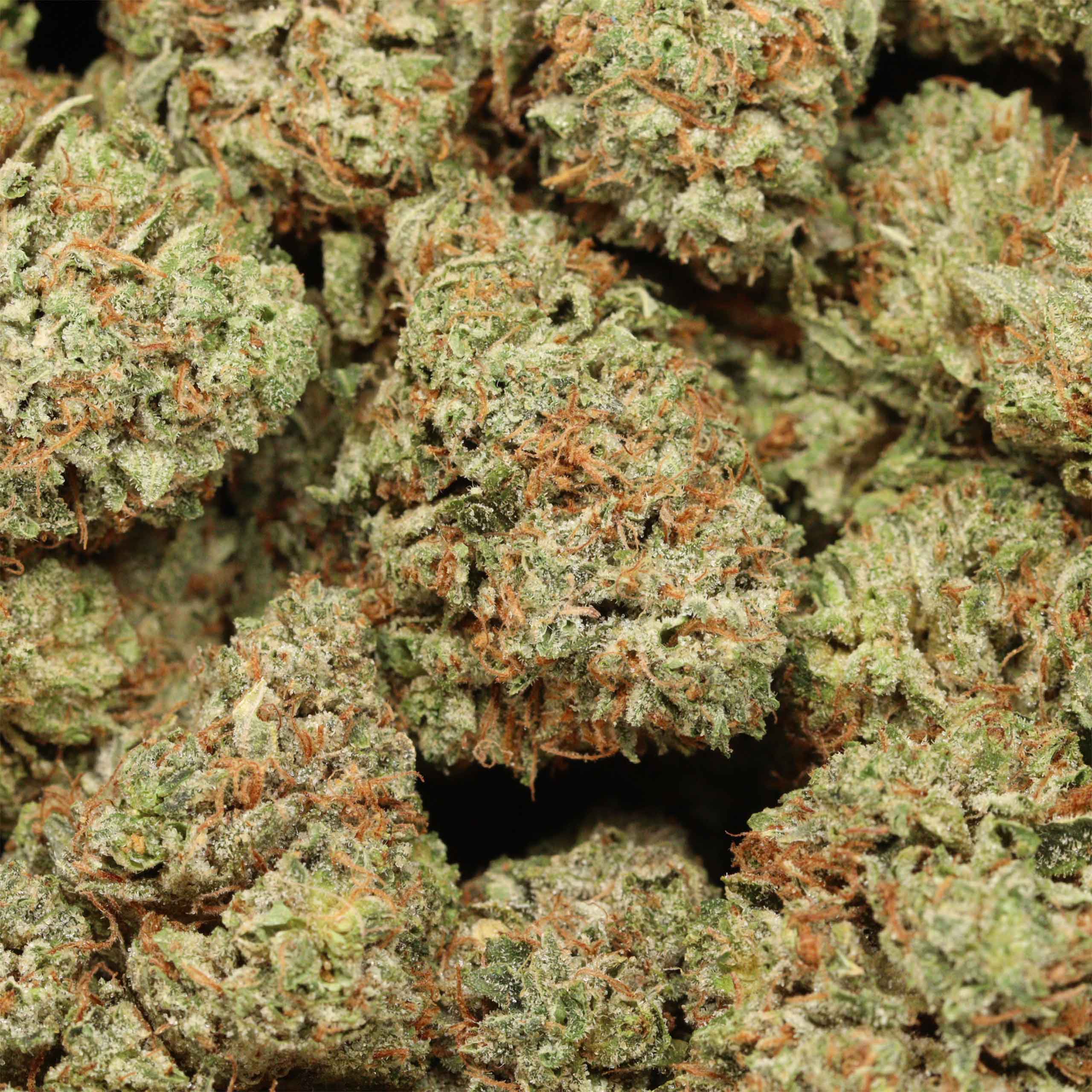 Hydro Death Bubba cannabis