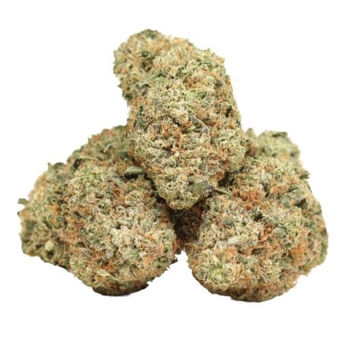 Khalifa Kush strain cannabis