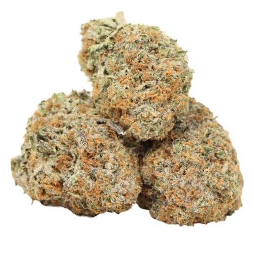 King Louis XIII strain cannabis