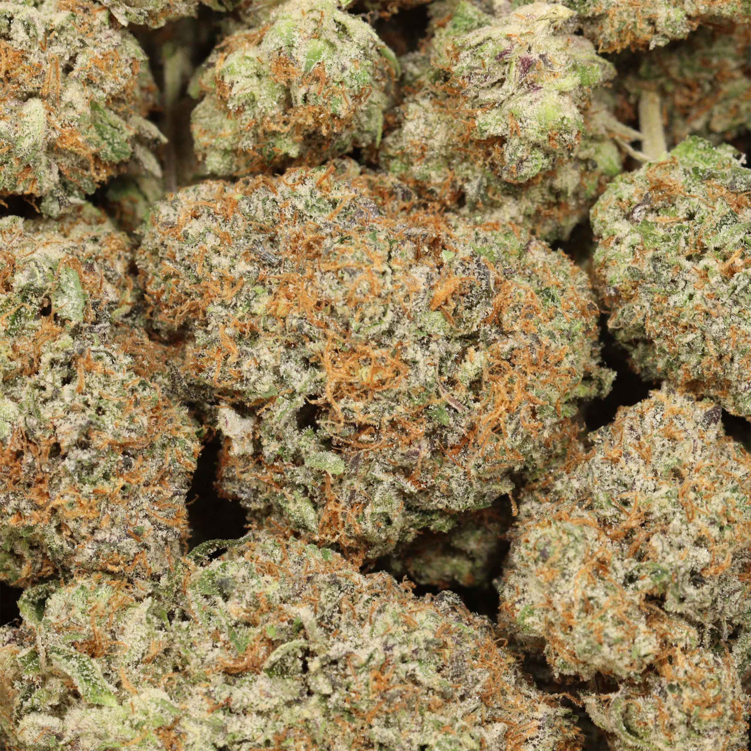 King Louis XIII cannabis