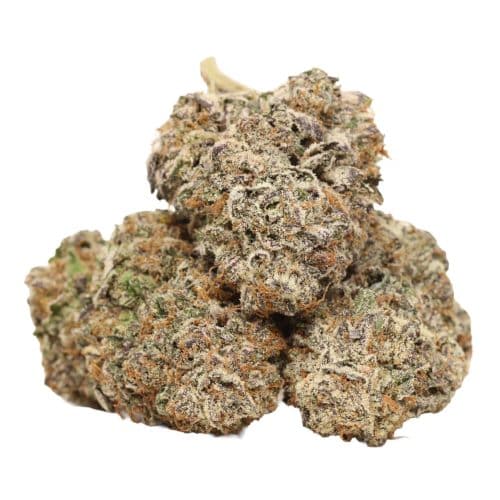 Kombucha strain craft cannabis