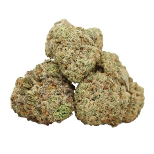 LA Ultra strain cannabis