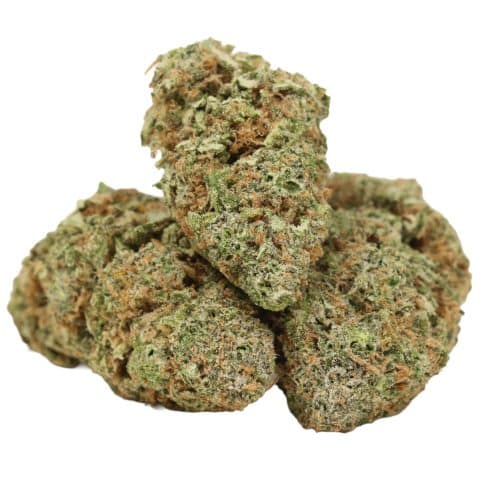 Lemon Kush strain cannabis