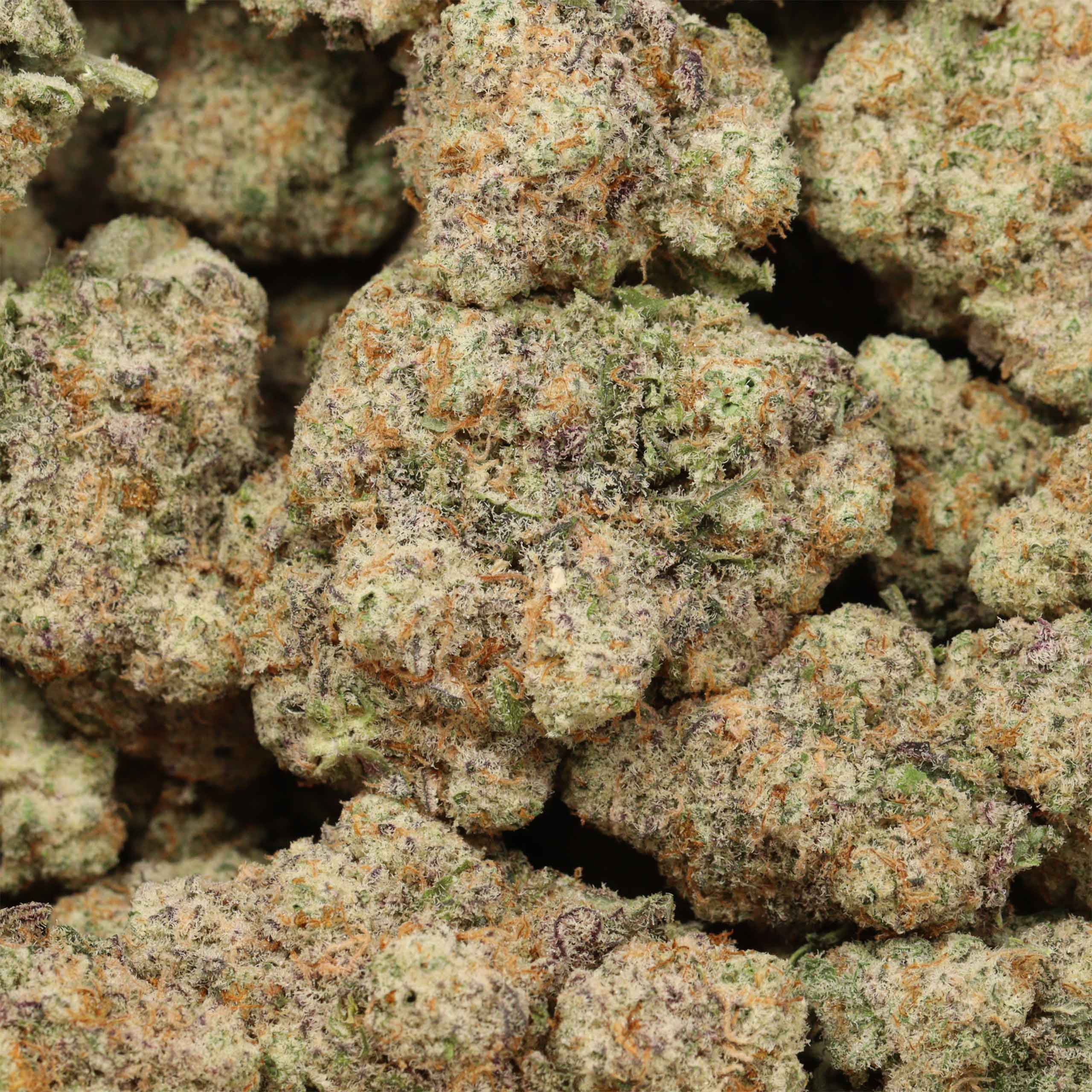 Mac Stomper cannabis wholesale