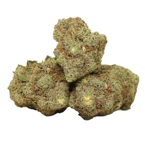 Master Kush strain cannabis