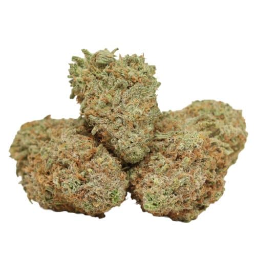 Mimosa strain cannabis