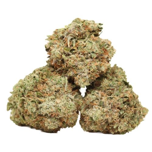 MK Ultra strain cannabis