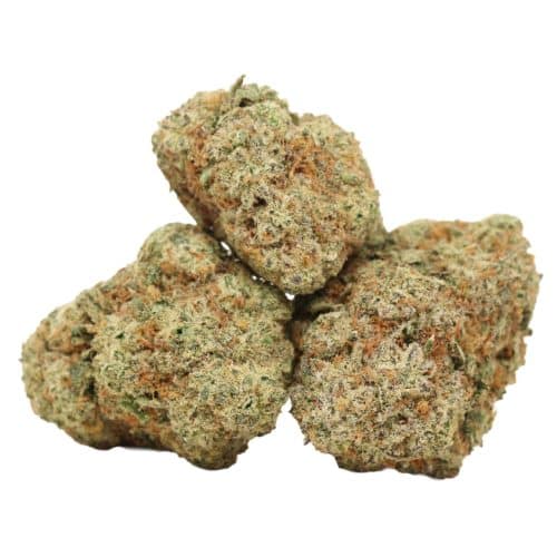 Northern Lights strain cannabis