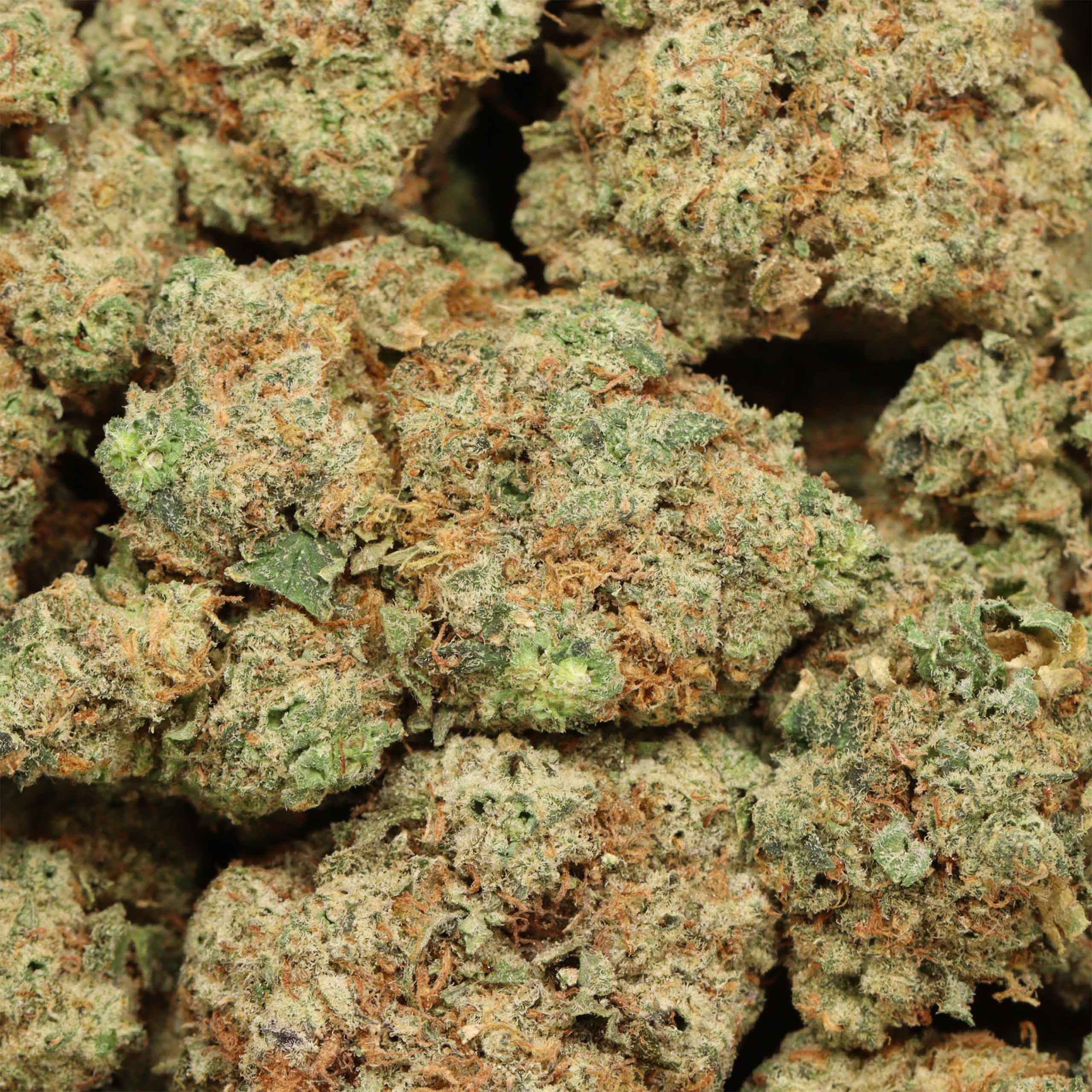 Northern Lights cannabis