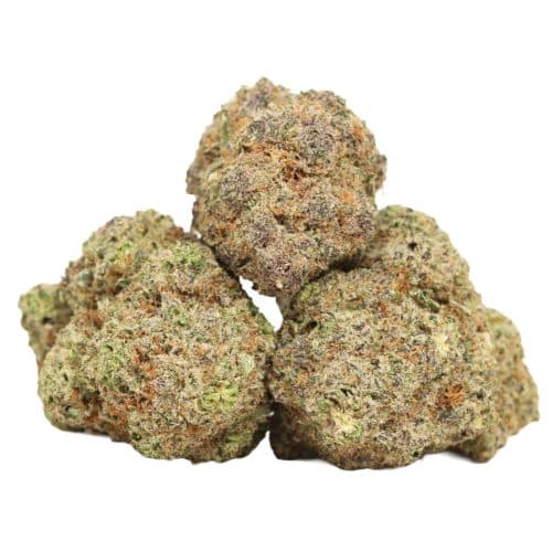 OMFG strain cannabis