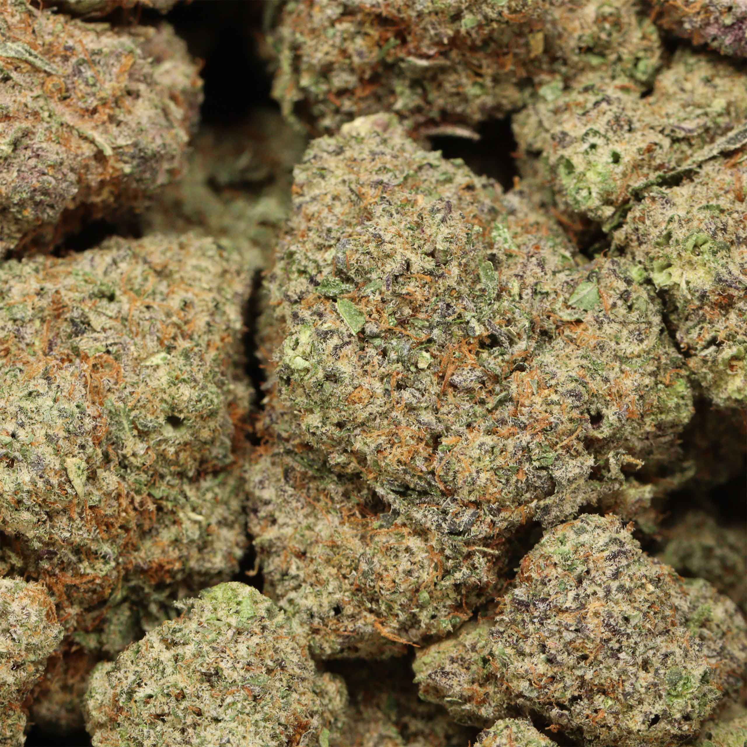 OMFG cannabis wholesale