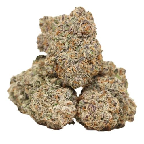 Oreoz strain craft cannabis