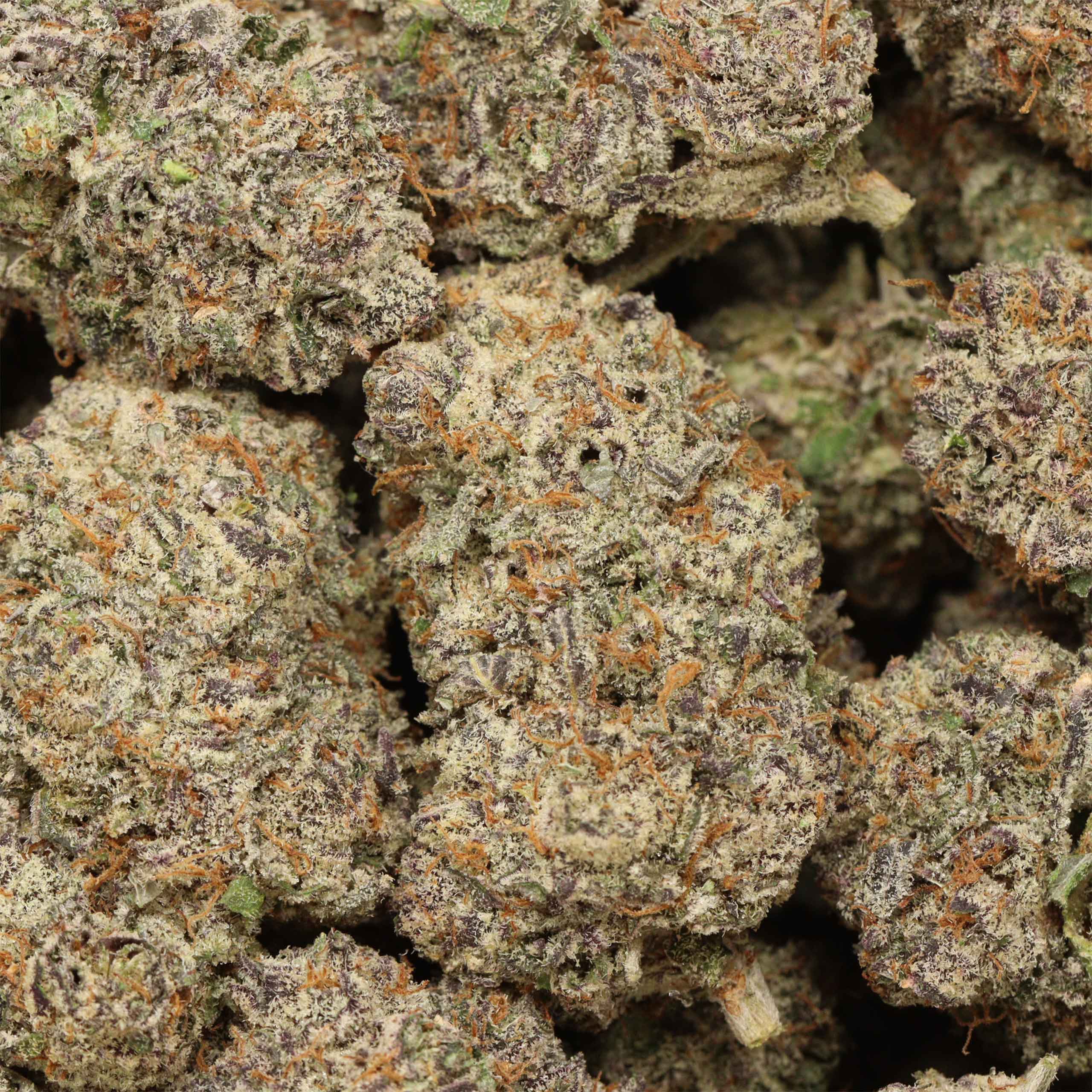 Oreoz strain cannabis