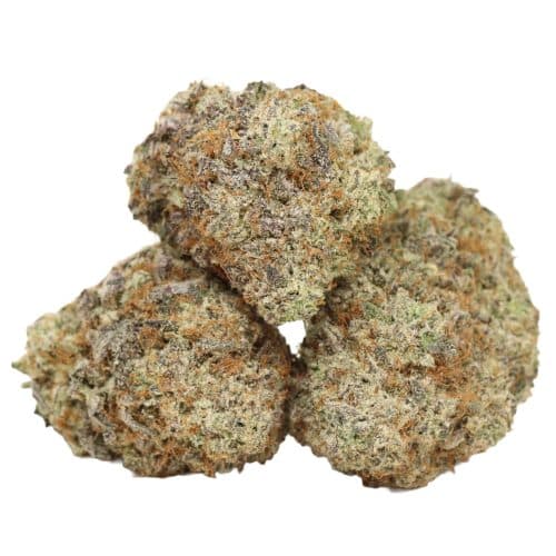 Permanent Marker strain craft cannabis