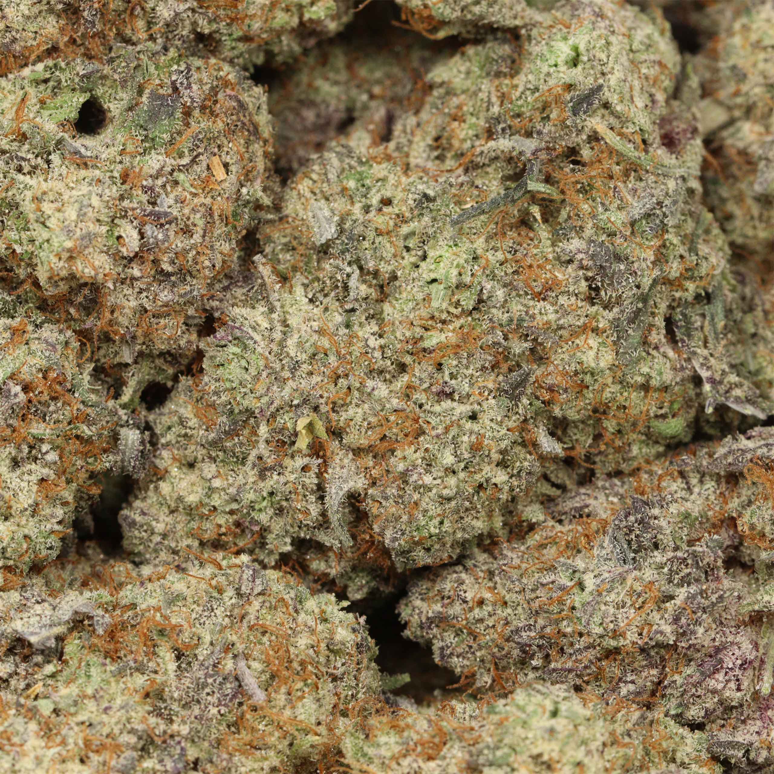 Permanent Marker craft cannabis