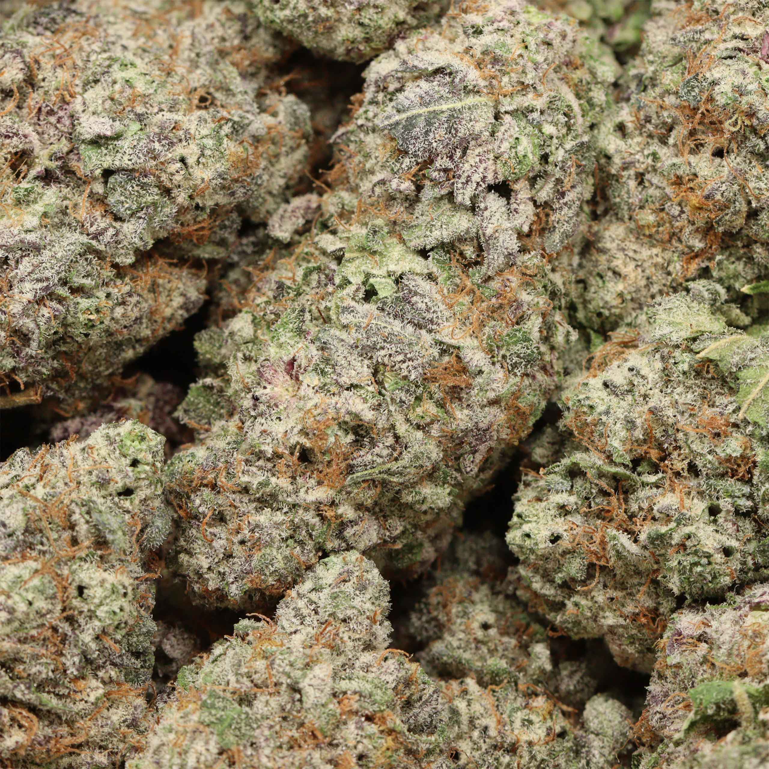 Peyote Breath craft cannabis