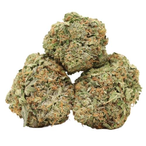 Pink Death strain cannabis