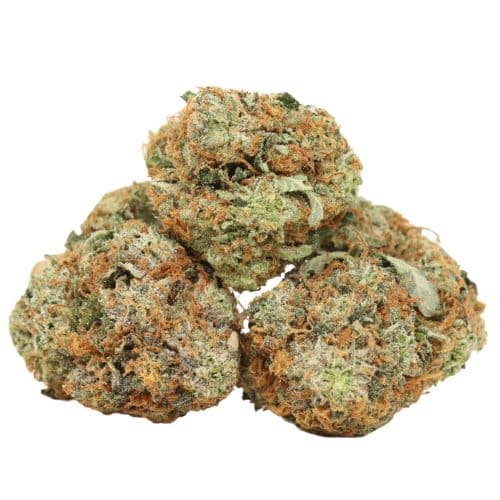 Pink Gas strain cannabis