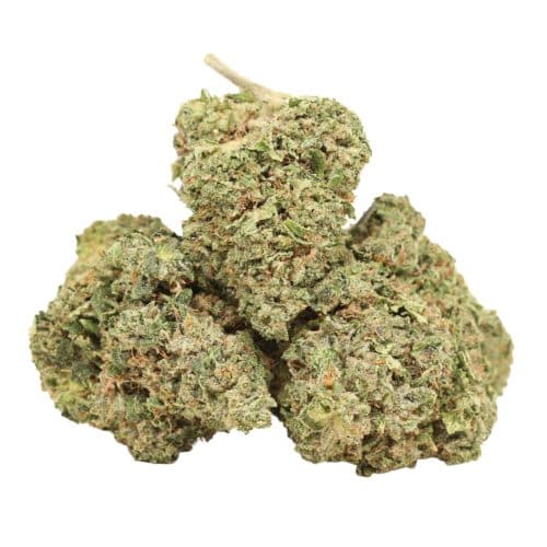 Pink Poncho strain cannabis