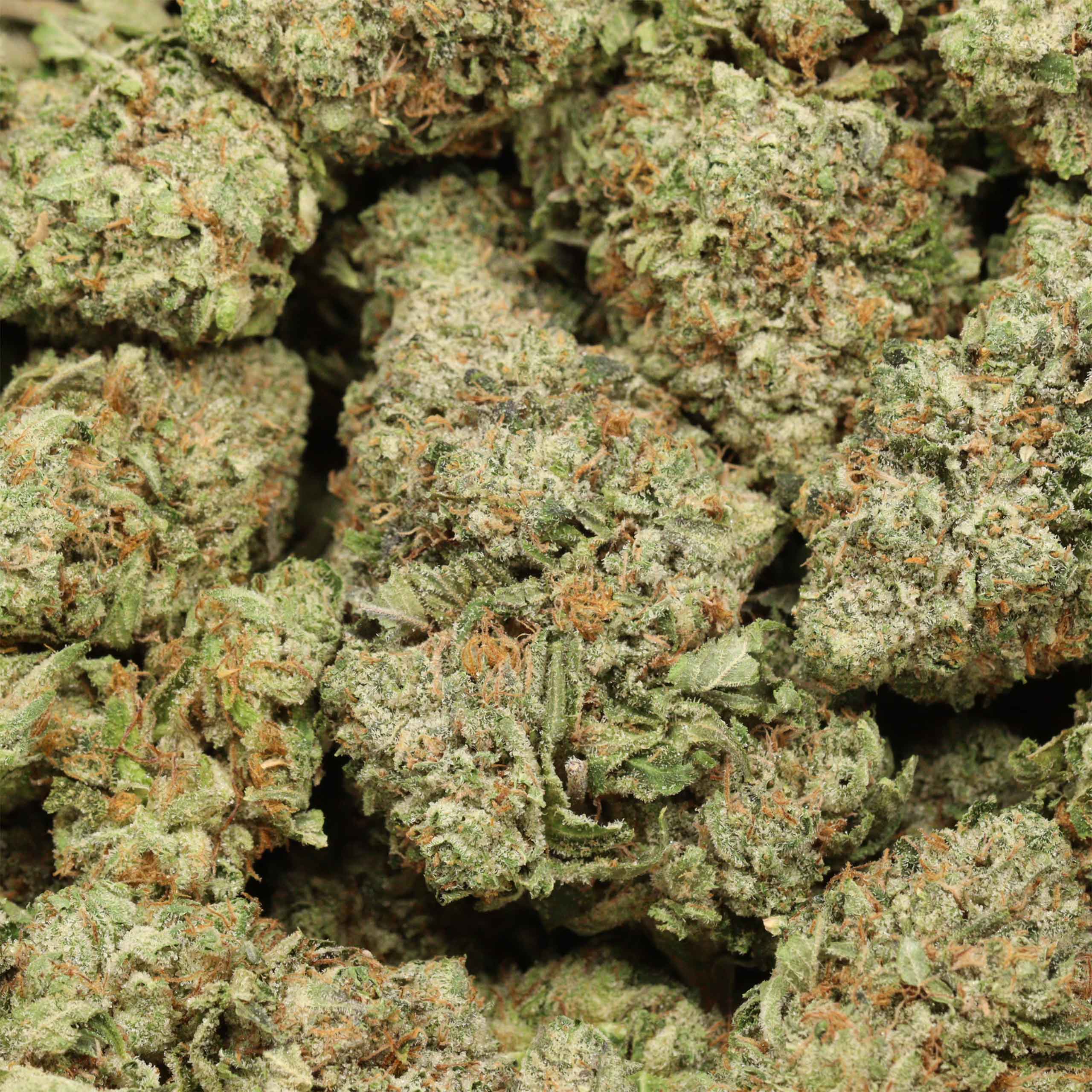 Pink Pussy craft cannabis wholesale