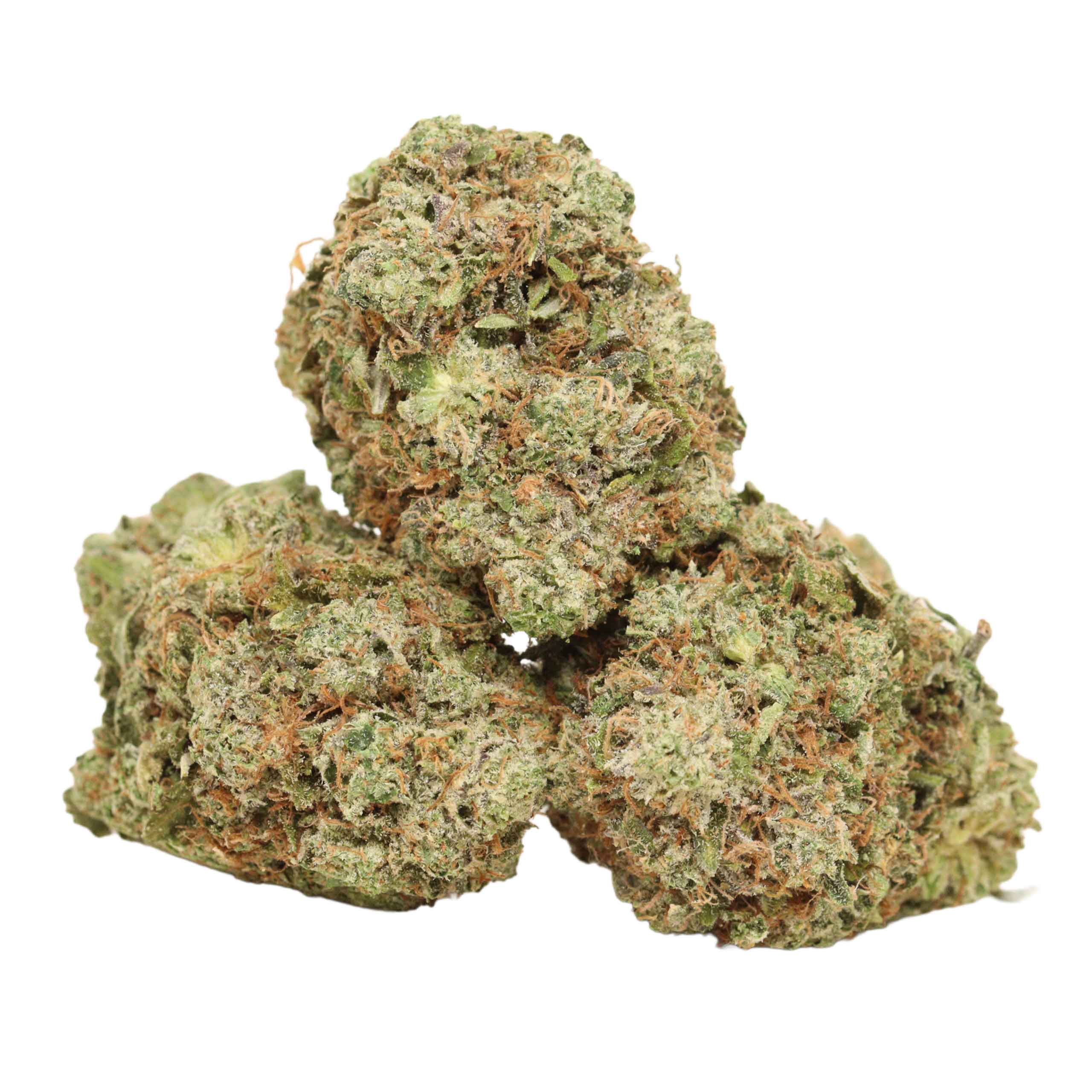 Presidential Pink Kush strain cannabis