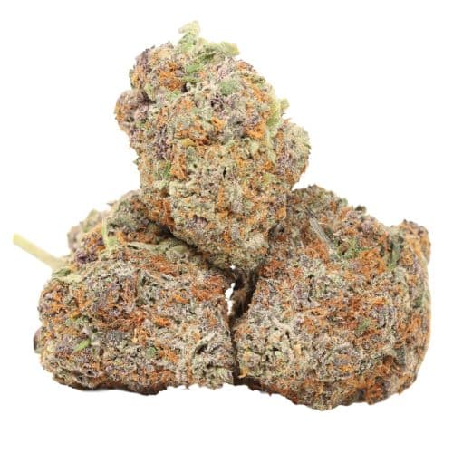 Purple Blizzard strain craft cannabis