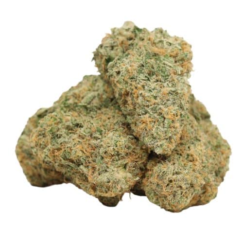 Quantum Kush strain craft cannabis
