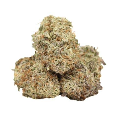 Raspberry Swirl strain cannabis